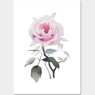 Rose Watercolour Posters and Art